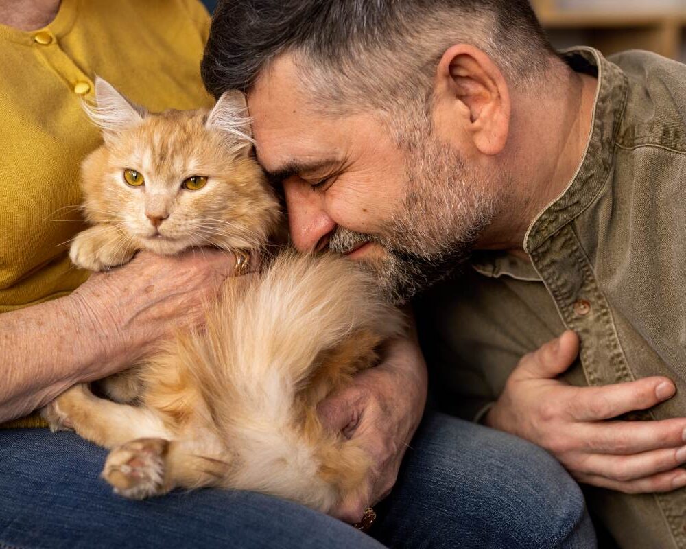 elderly-people-with-cat-pet-min elderly-people-with-cat-pet-min