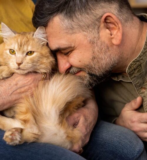 elderly-people-with-cat-pet-min elderly-people-with-cat-pet-min