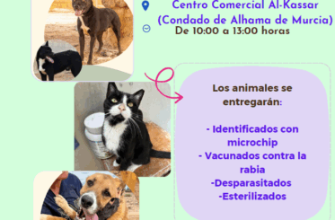 sin_titulo_3