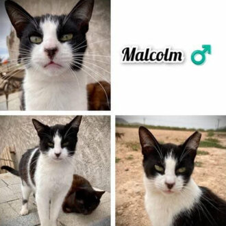 MALCOM