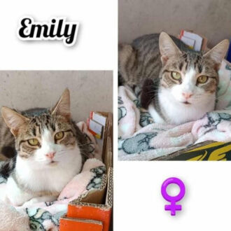 EMILY