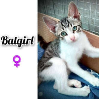 BATGIRL