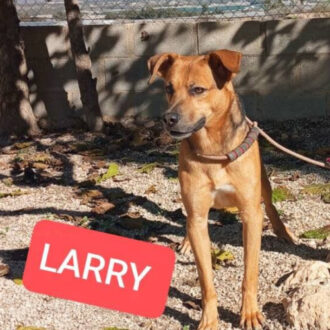 LARRY