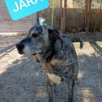 JARA