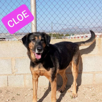 CLOE