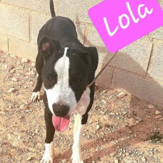 LOLA