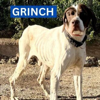 GRINCH