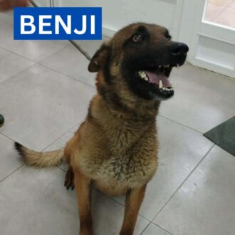 BENJI