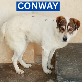 CONWAY