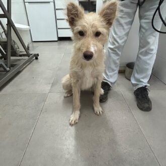 OSITA